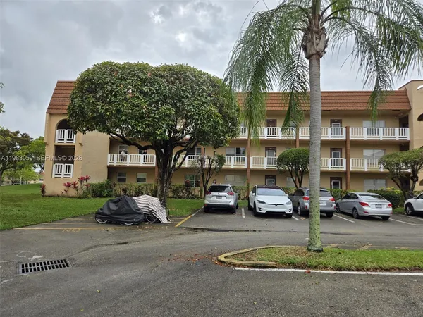 a view of a trees in a park