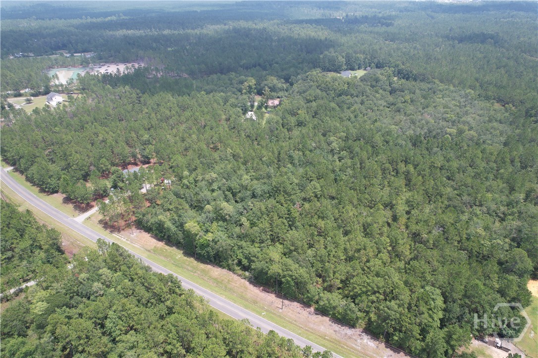 0 Brogdon Road Guyton, GA 31312 - Photo 3 of 11 Gallery Image 3