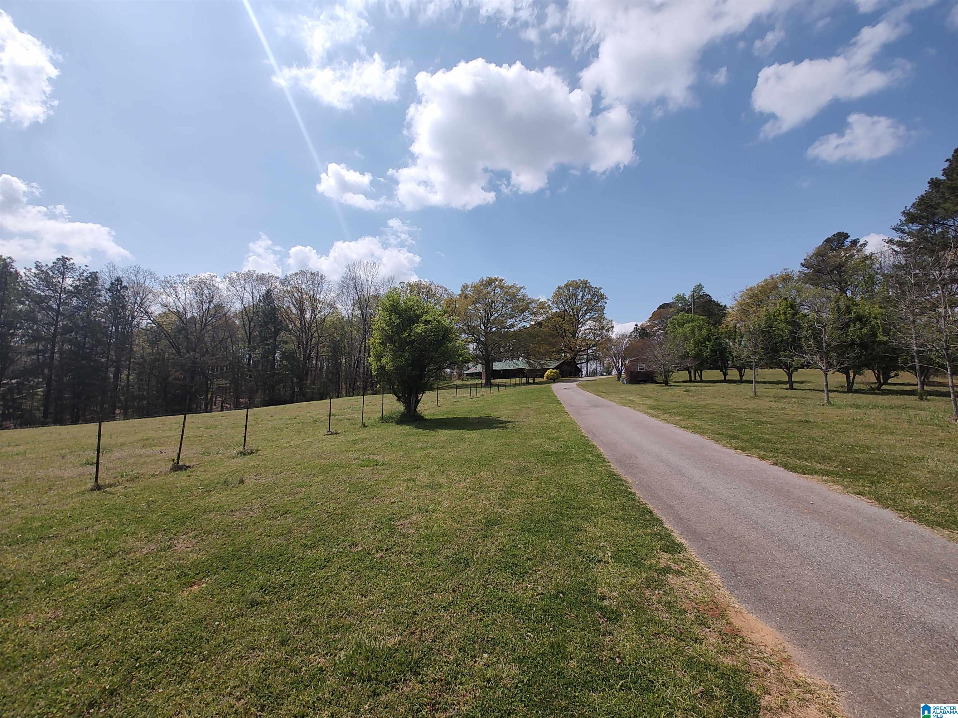 75 Mary Lee Lane Alpine, AL 35014 - Photo 6 of 77