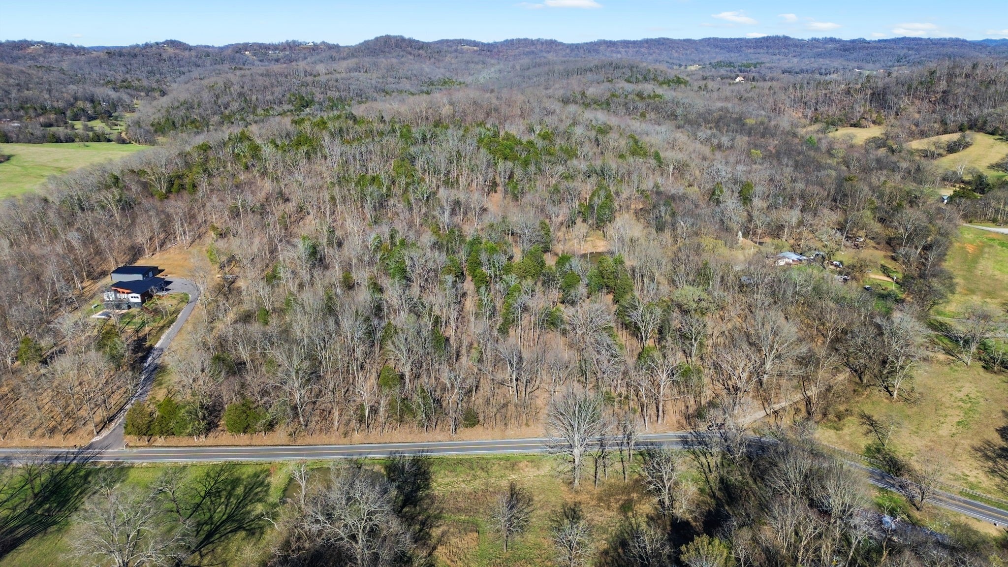 0 Chipman Road Bethpage, TN 37022 - Photo 12 of 14 a view of a lake in middle of the forest