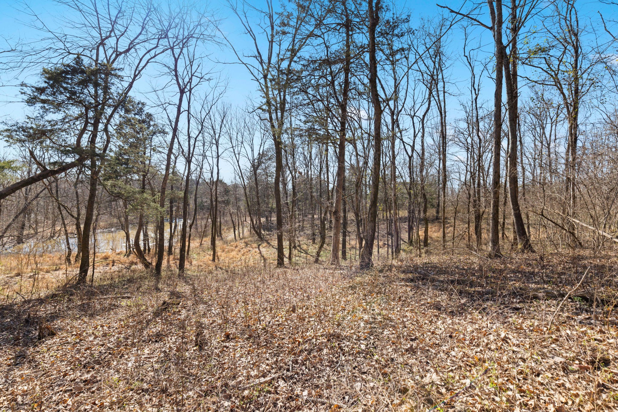 0 Chipman Road Bethpage, TN 37022 - Photo 2 of 14 a view of covered with trees