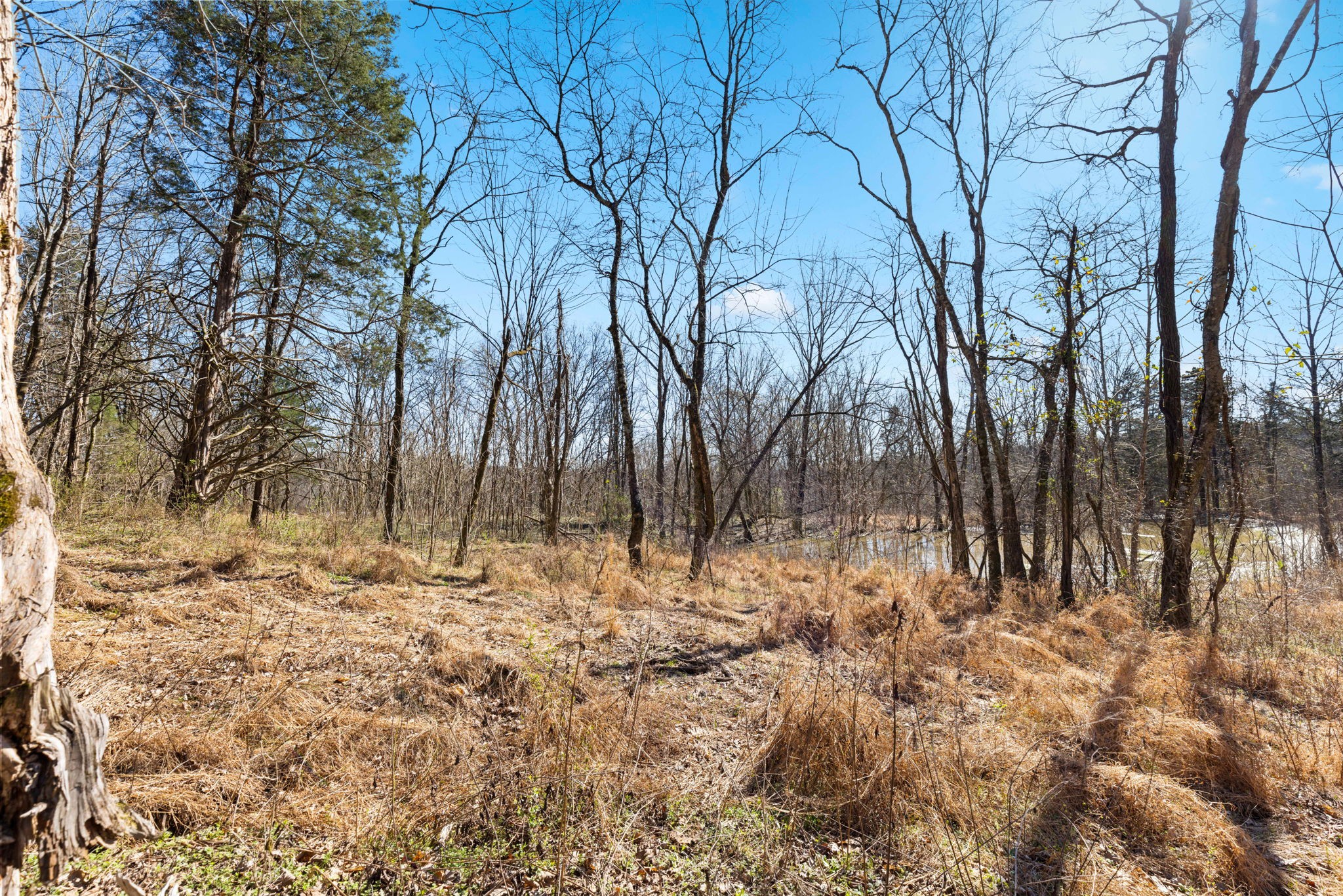 0 Chipman Road Bethpage, TN 37022 - Photo 7 of 14 a view of covered with snow