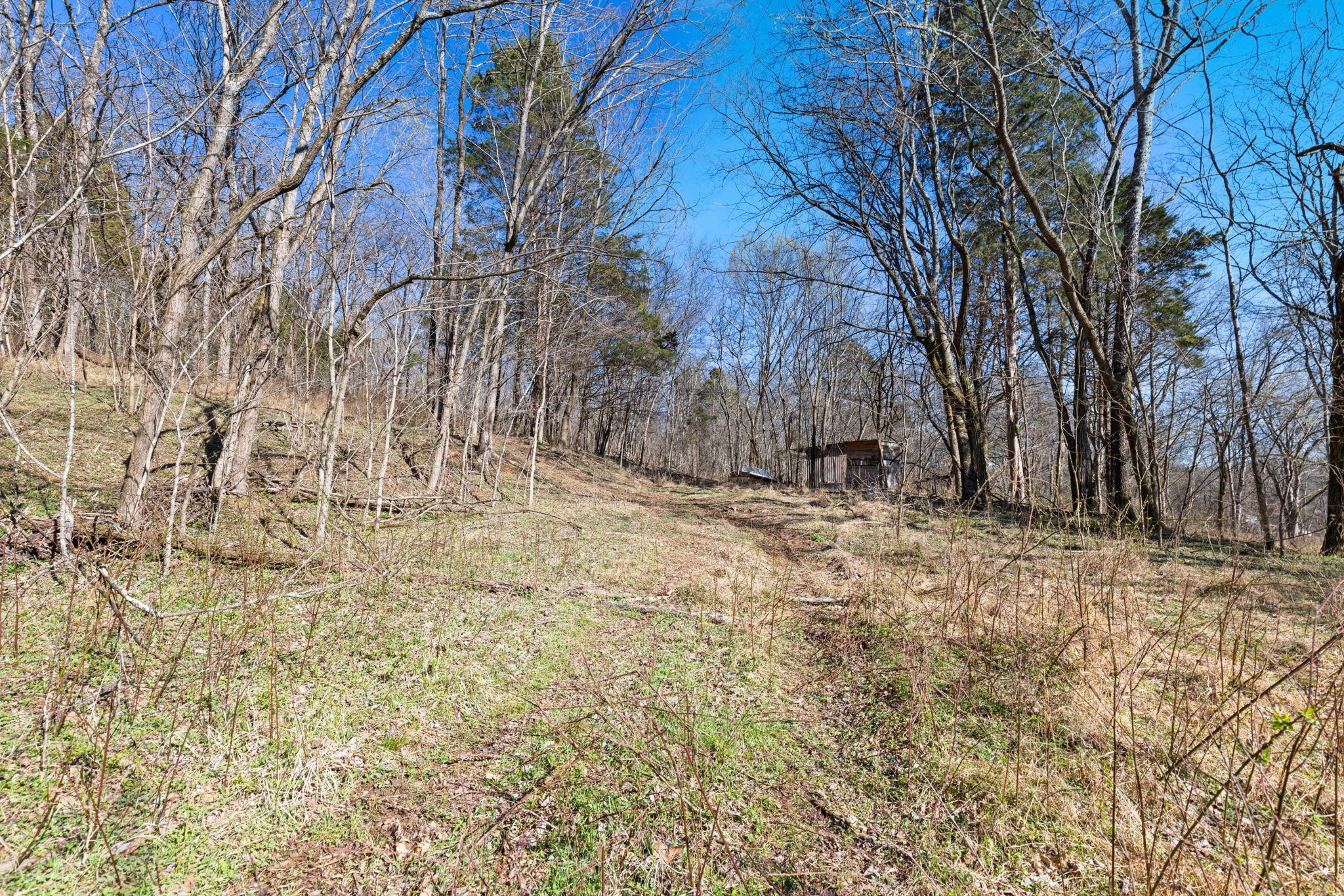 0 Chipman Road Bethpage, TN 37022 - Photo 9 of 14 a view of a yard covered with snow