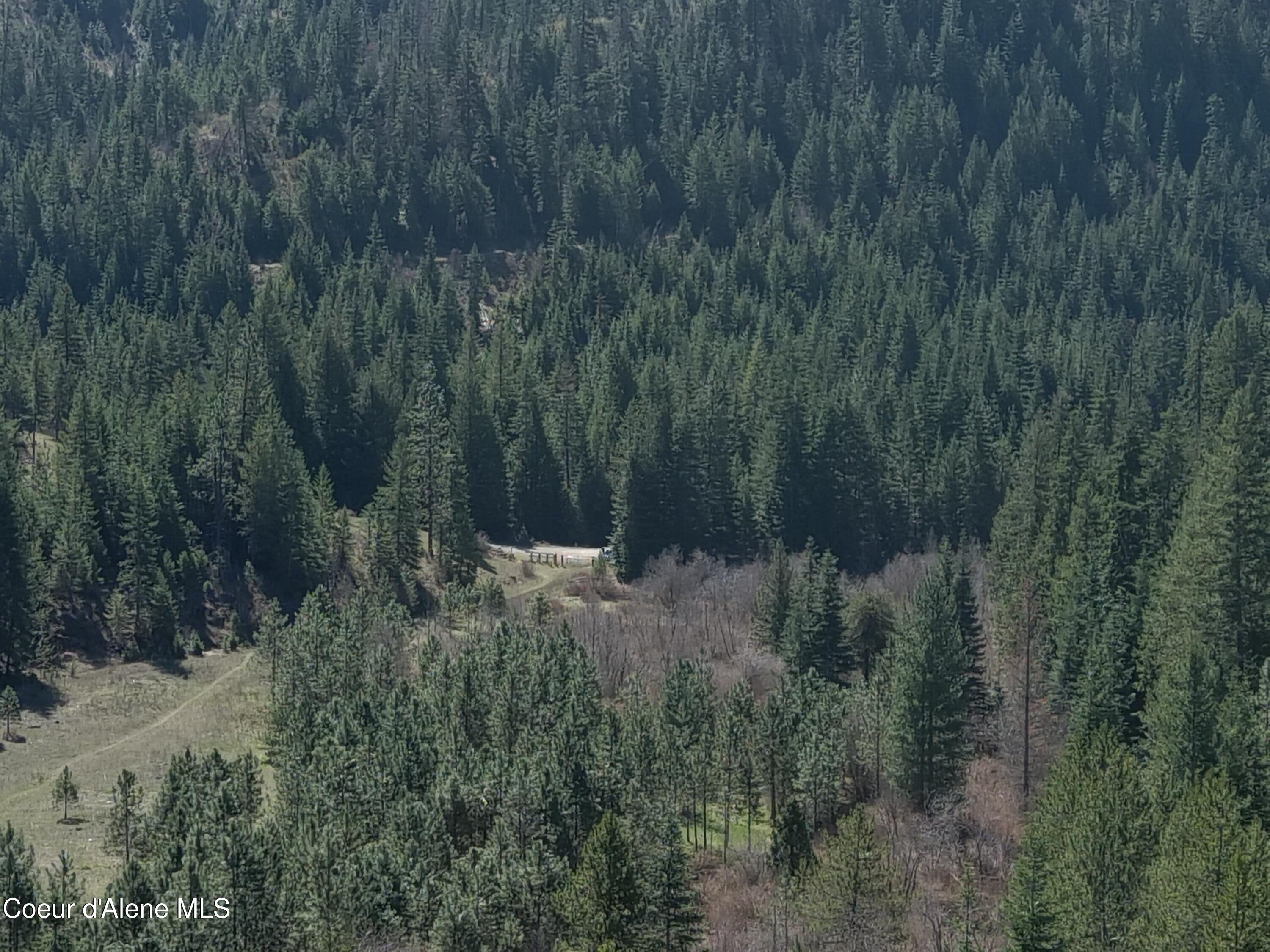 Carlin Creek Road, Unit 256 Harrison, ID 83833 - Photo 26 of 31 MAX_0032