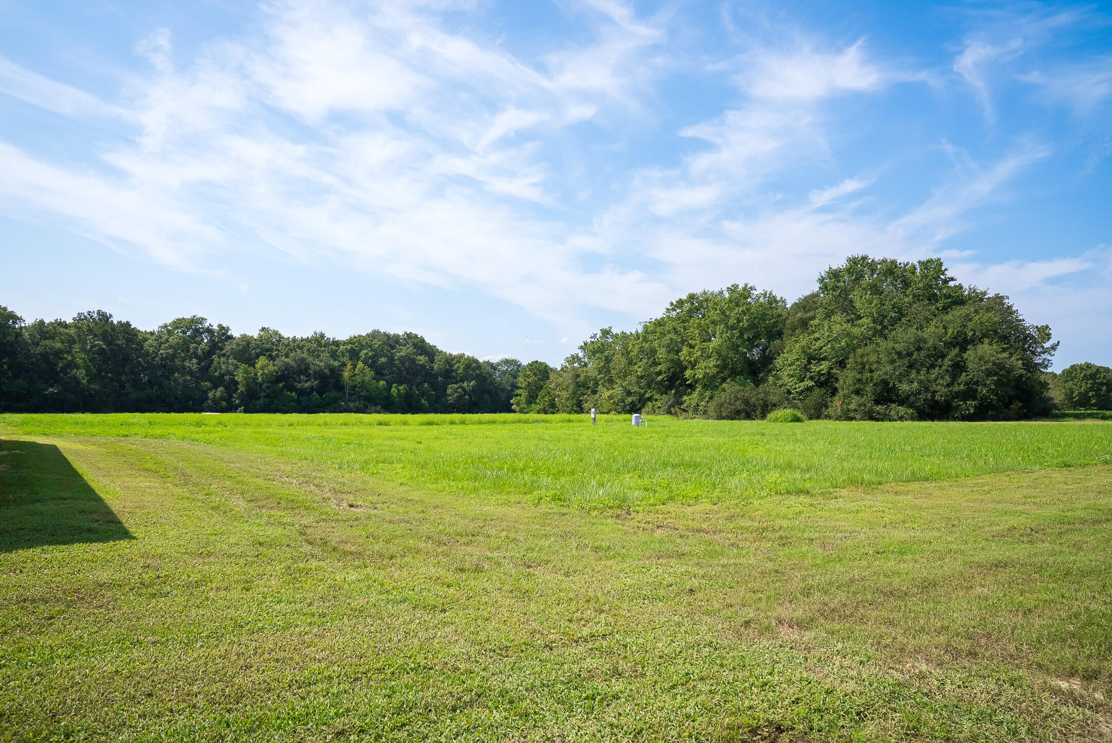 2122 New Holland Road Wagener, SC 29164 - Photo 43 of 48 Gallery Image 43