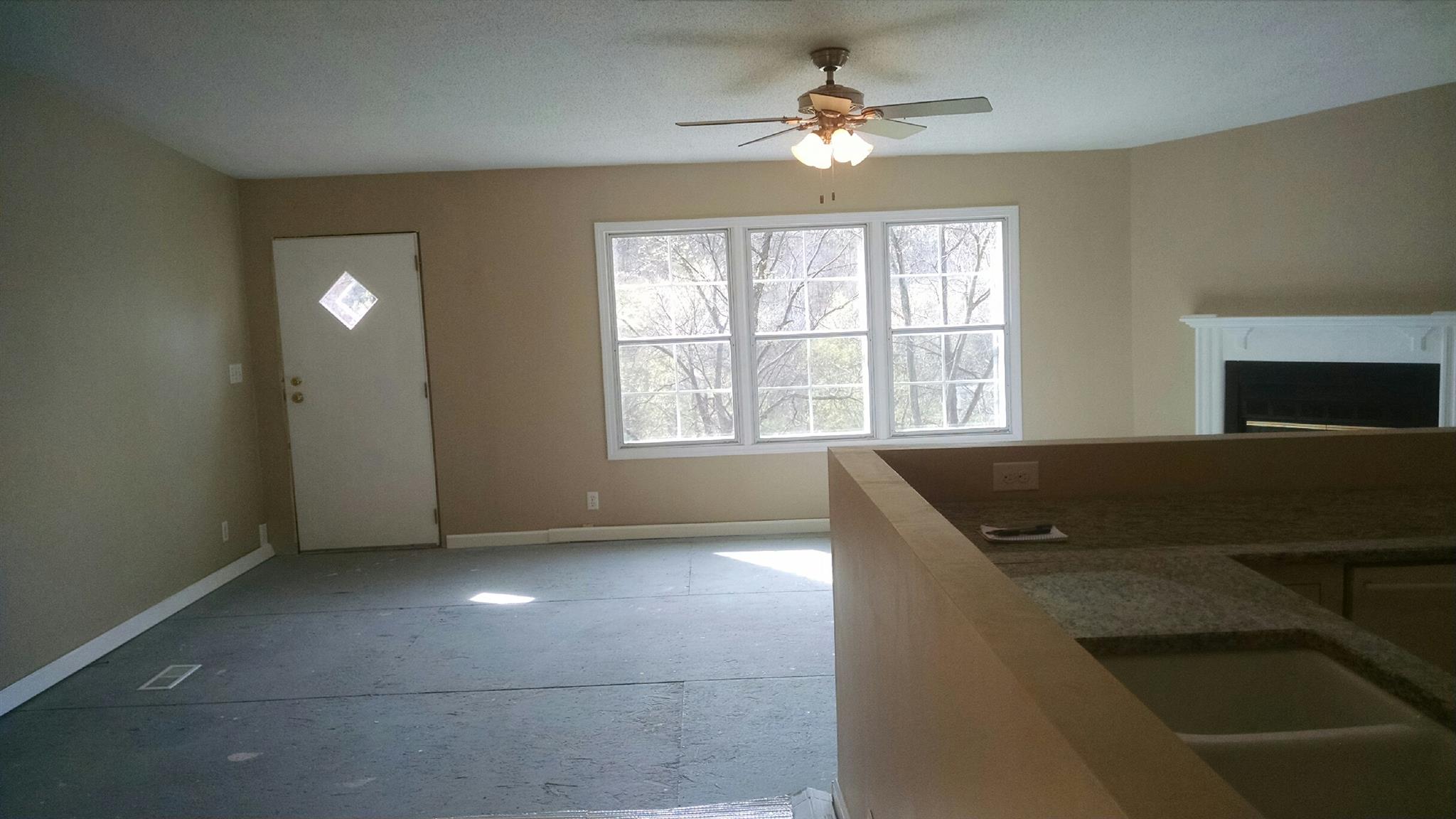 1917 Terrapin Branch Road Mount Pleasant, TN 38474 - Photo 14 of 27 View from dining room.