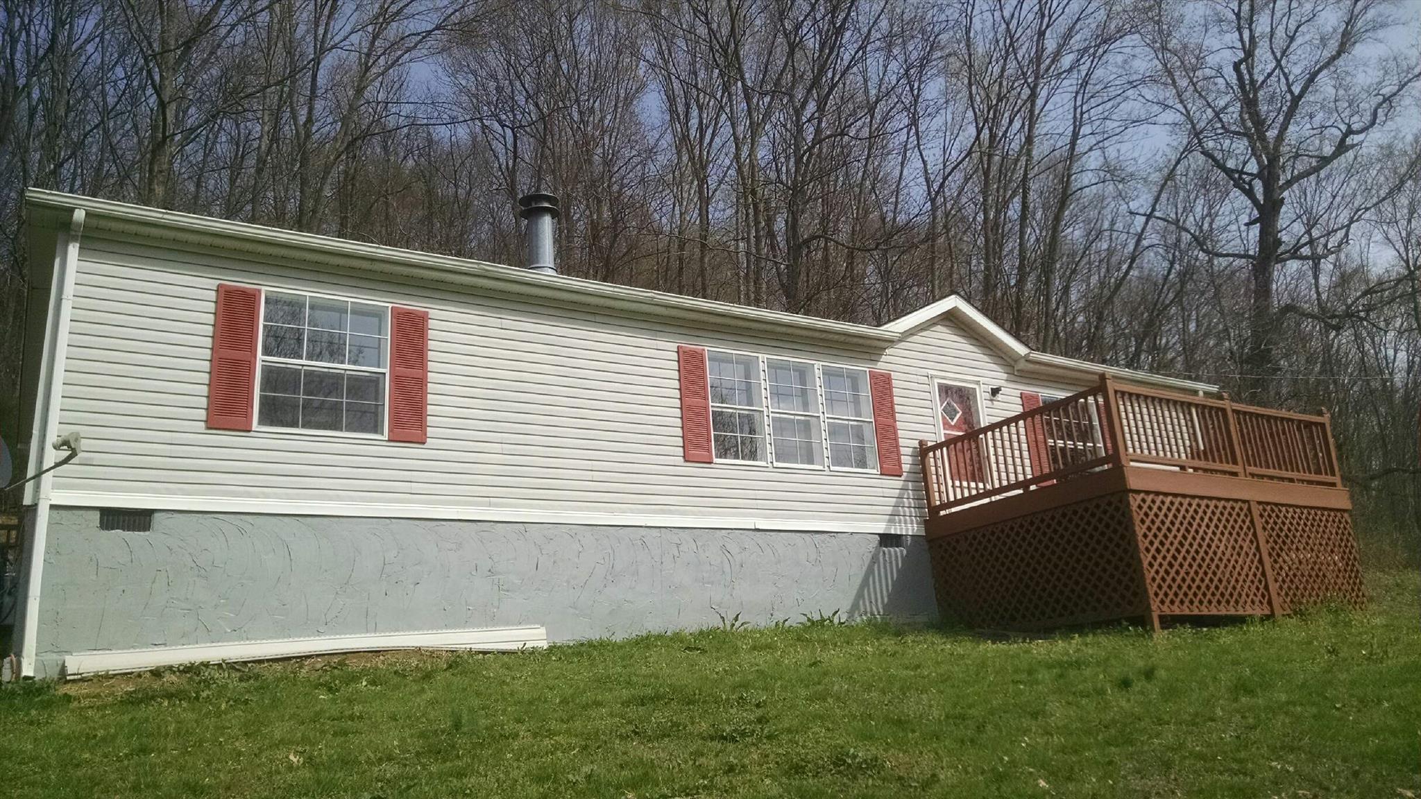 1917 Terrapin Branch Road Mount Pleasant, TN 38474 - Photo 4 of 27 Additional front view