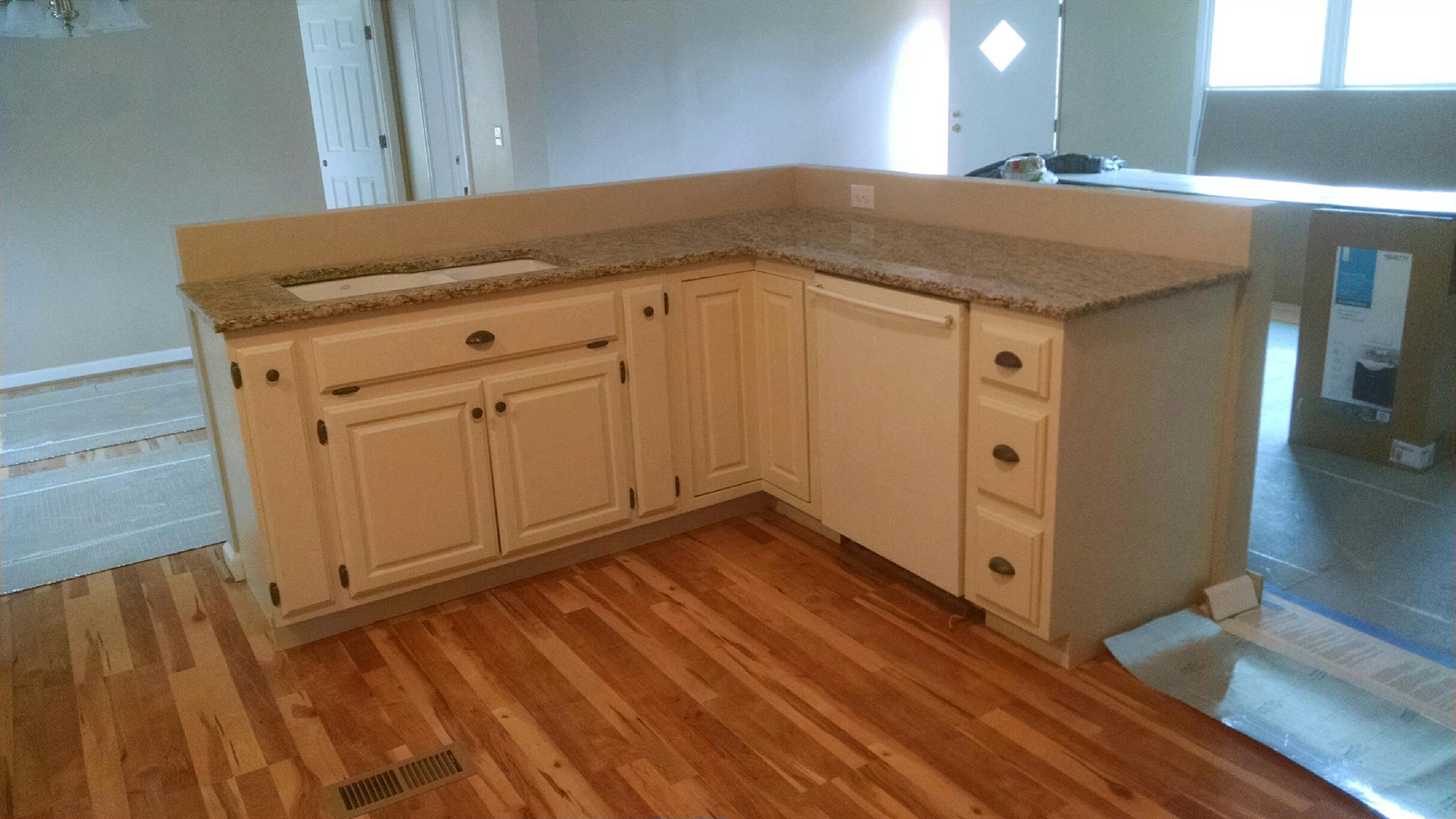 1917 Terrapin Branch Road Mount Pleasant, TN 38474 - Photo 9 of 27 New flooring