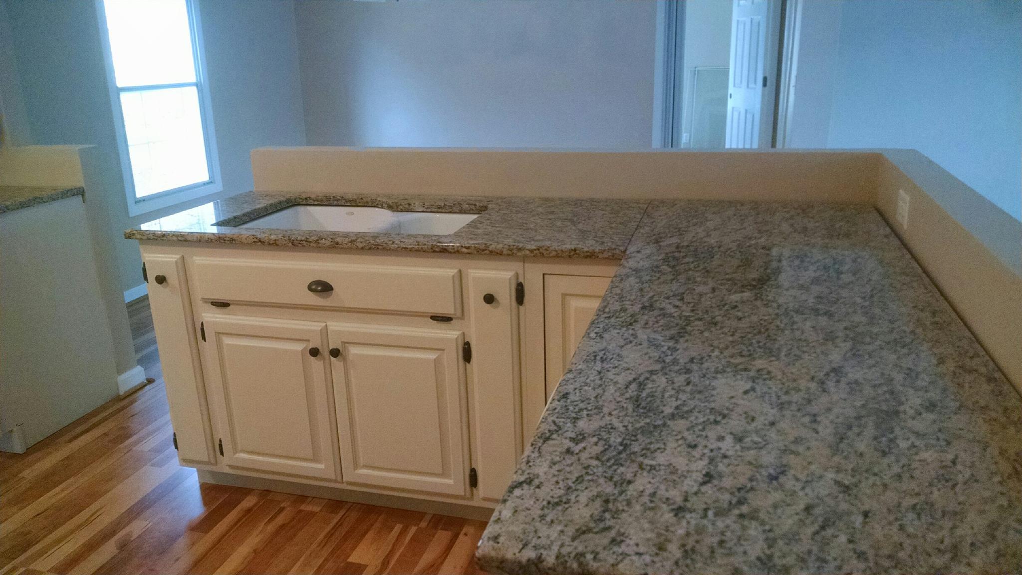 1917 Terrapin Branch Road Mount Pleasant, TN 38474 - Photo 10 of 27 Drop in sink and granite counter top.