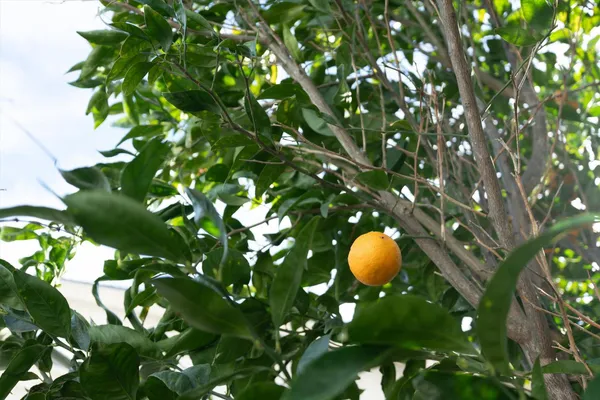 $474,900 | 8625 Valley Rim Way, Antelope, CA 95843