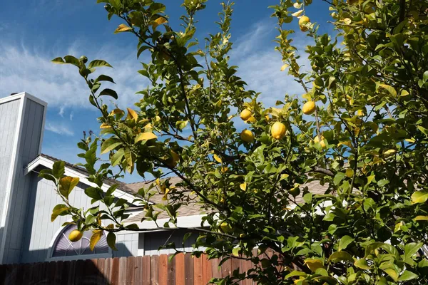 $474,900 | 8625 Valley Rim Way, Antelope, CA 95843