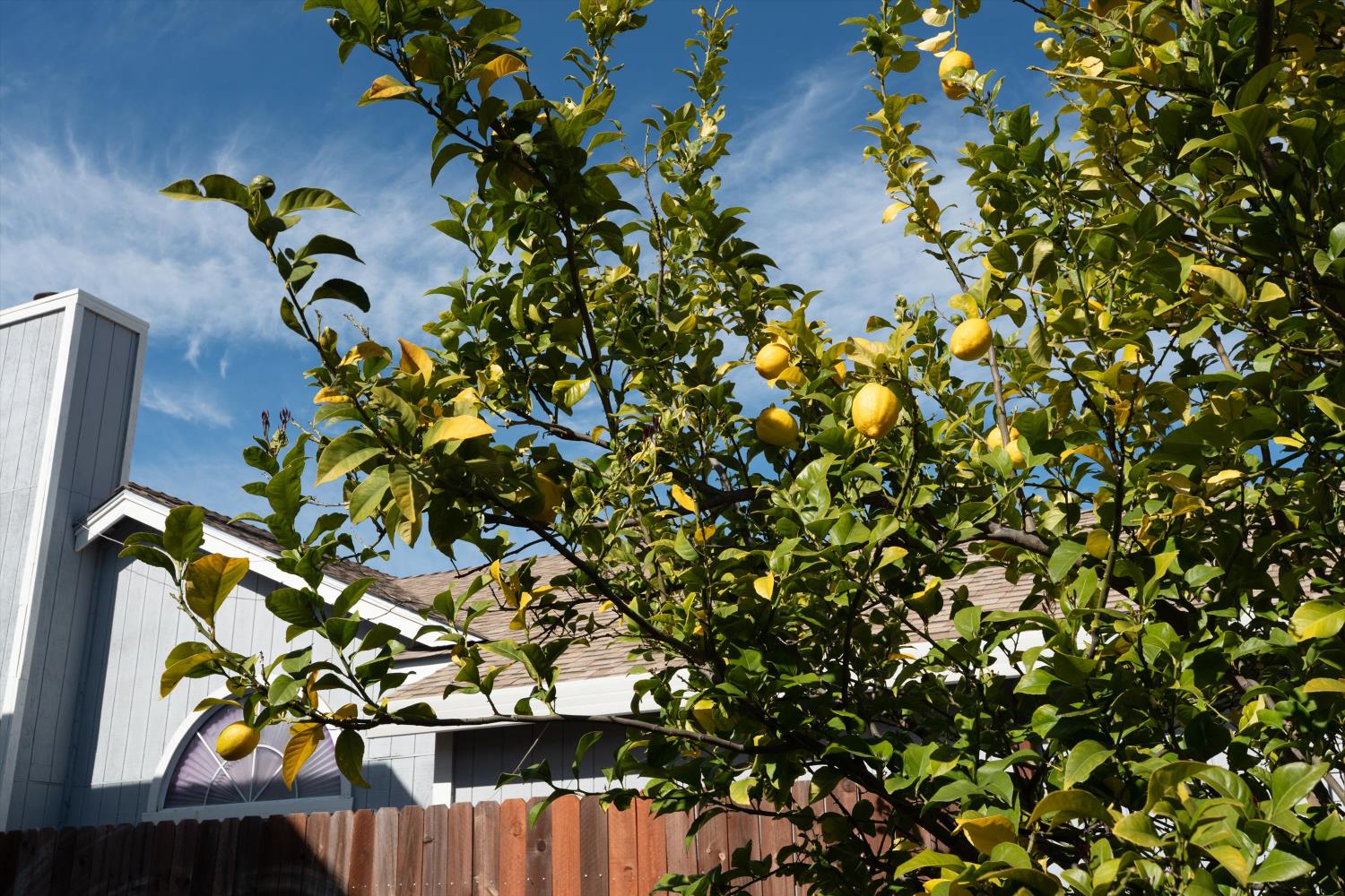 8625 Valley Rim Way Antelope, CA 95843 - Photo 29 of 42