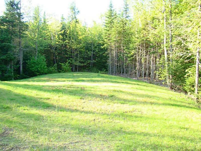 566 Ridge Drive Hermon, ME 04401 - Photo 7 of 26 Yard/Garden.