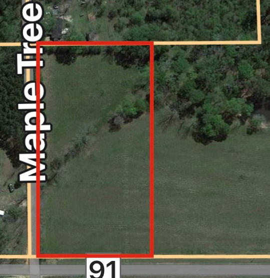 5455 Co Road Slocomb, AL 36375 - Photo 2 of 8