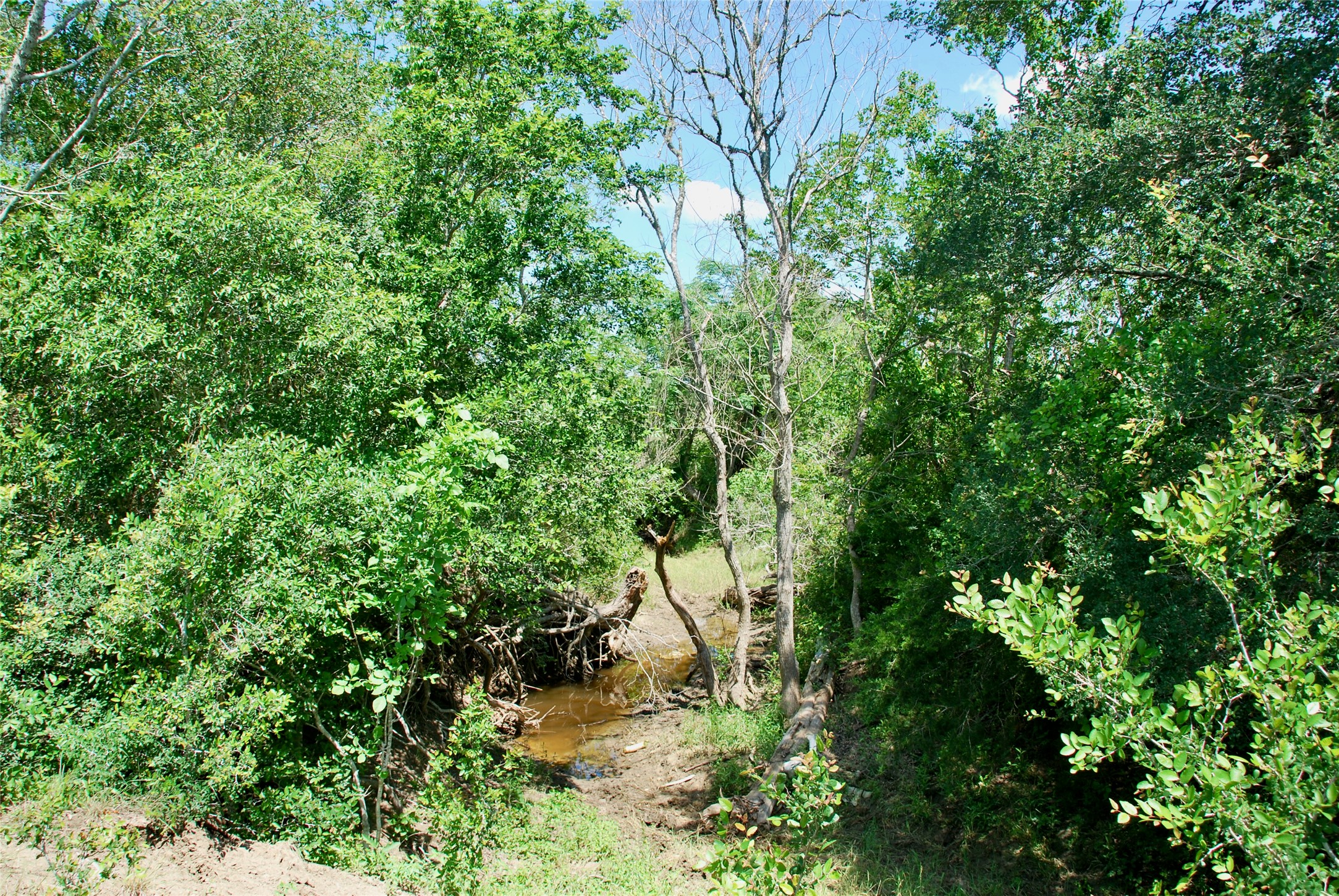 1070 Muehr Road Weimar, TX 78962 - Photo 19 of 40
