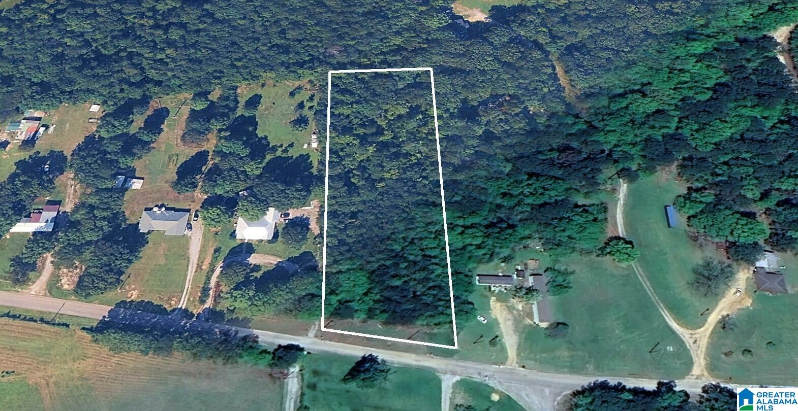 0 Co Road, Unit 61 Jemison, AL 35085 - Photo 1 of 6 Gallery Image 1