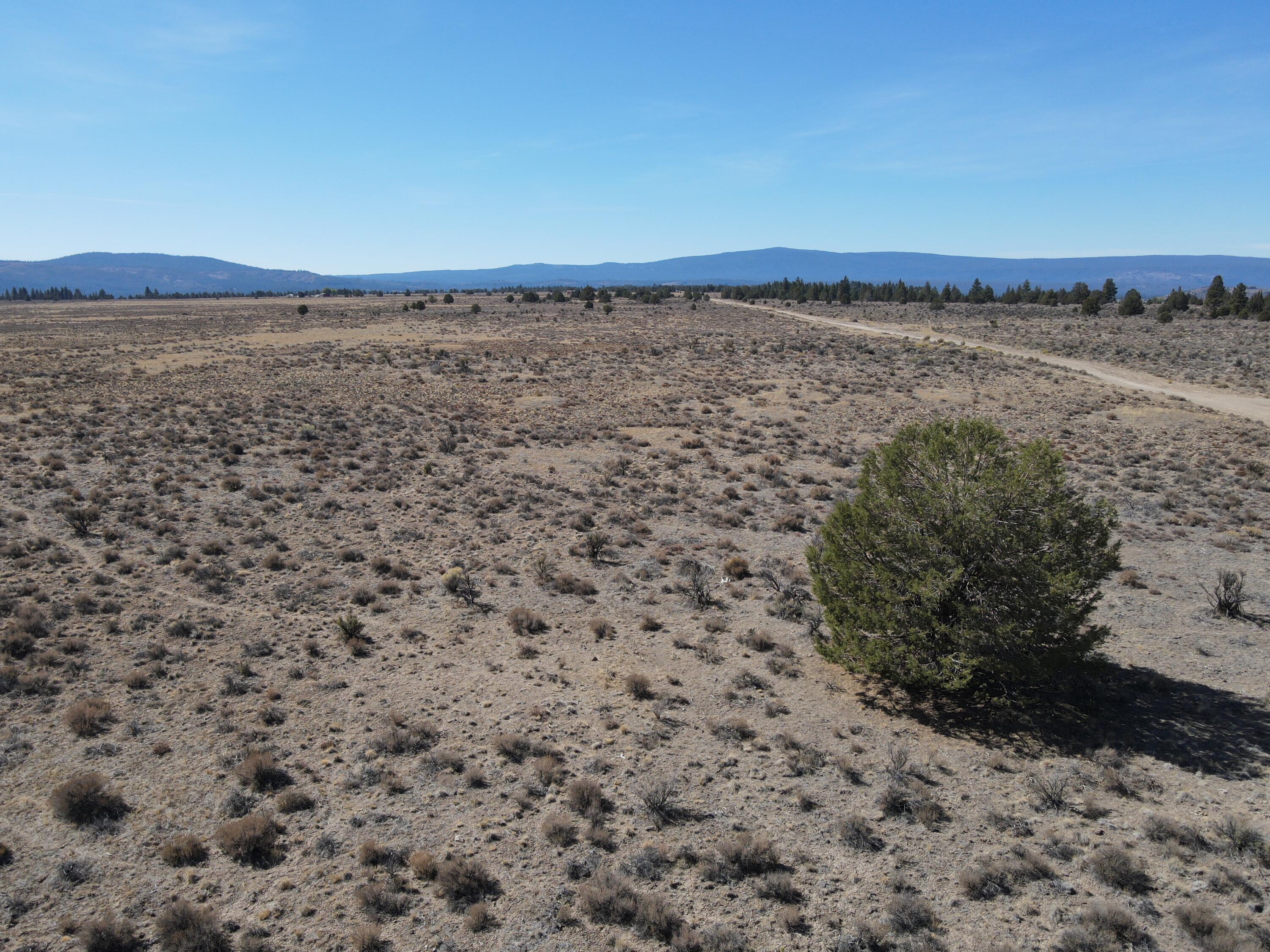 2 Tableland Road Road Chiloquin, OR 97624 - Photo 4 of 7 Small Trees (3) (1)