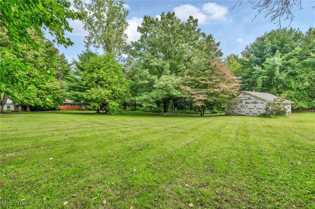 5306 Lockwood Road Madison, OH 44057 - Photo 24 of 28 View of yard