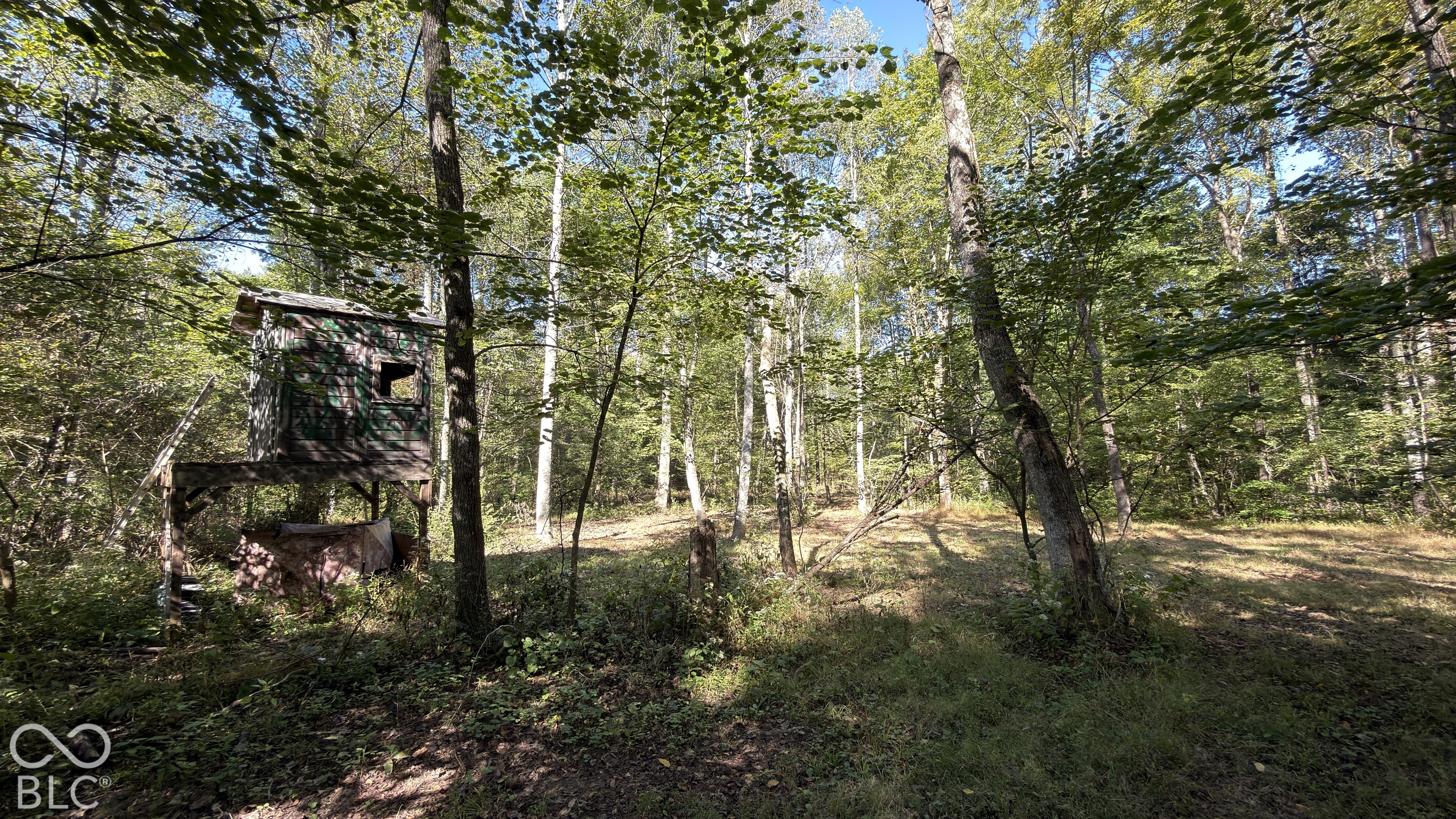 0 East Michaels Road Bloomfield, IN 47424 - Photo 43 of 67 Gallery Image 43