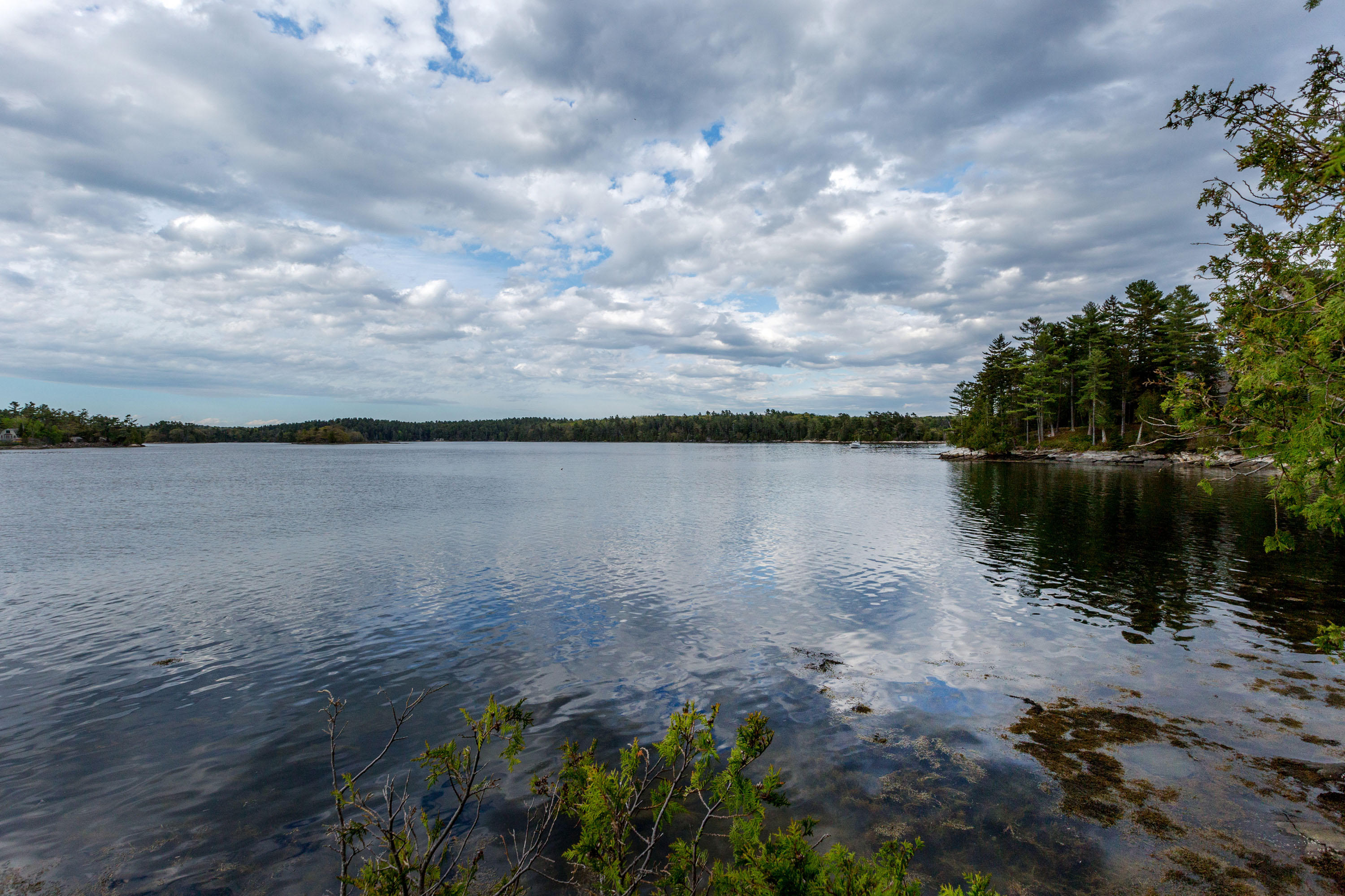 151 Sage Road Harpswell, ME 04079 - Photo 7 of 47 Sage_Clark_60