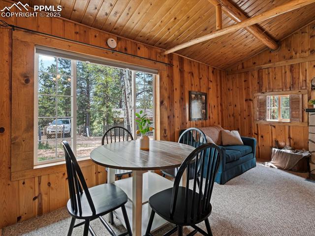 103 Alpine Road Woodland Park, CO 80863 - Photo 32 of 47 Gallery Image 32