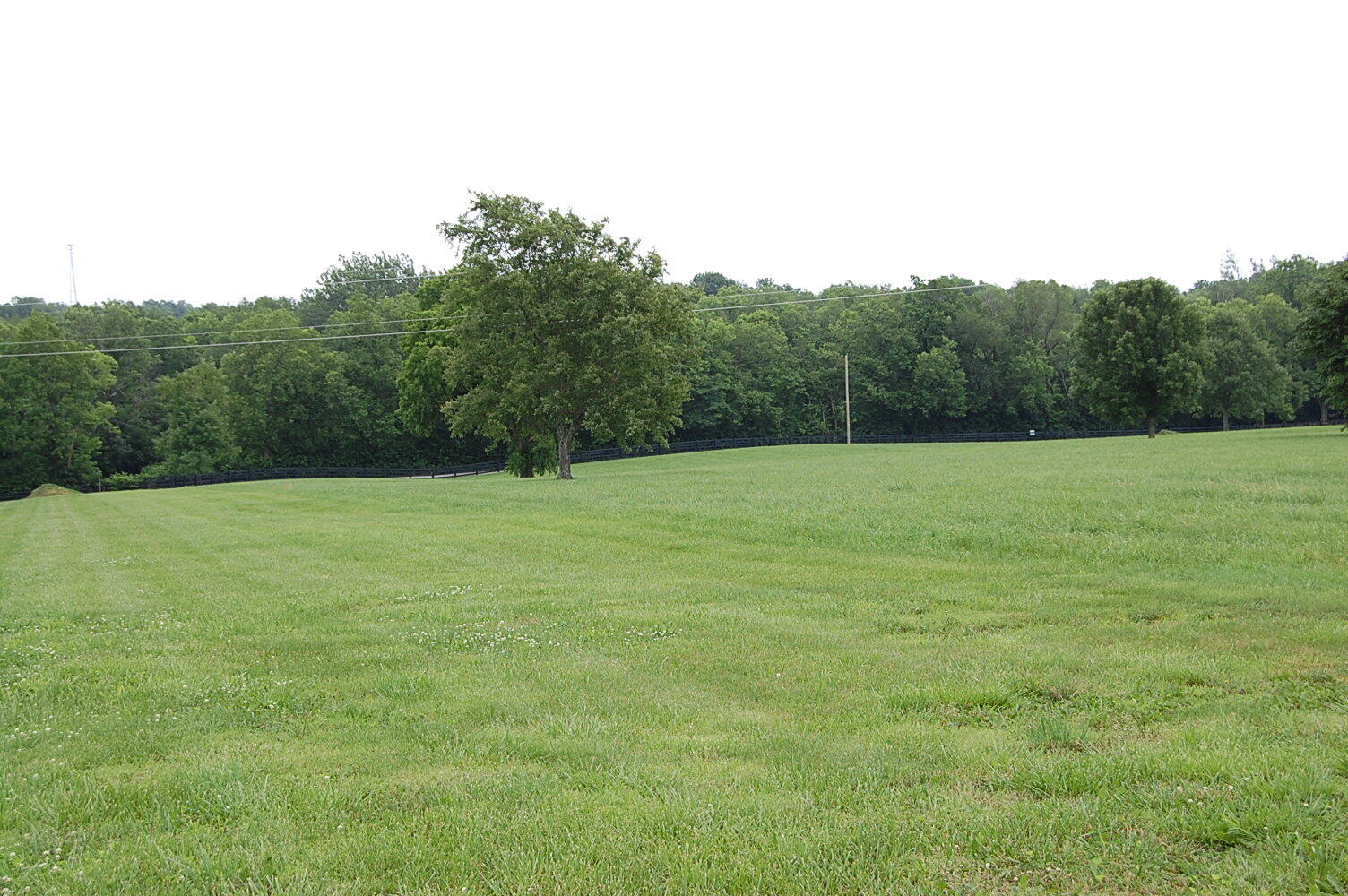 5441 Bryan Station Road Paris, KY 40361 - Photo 1 of 6 DSC_0329
