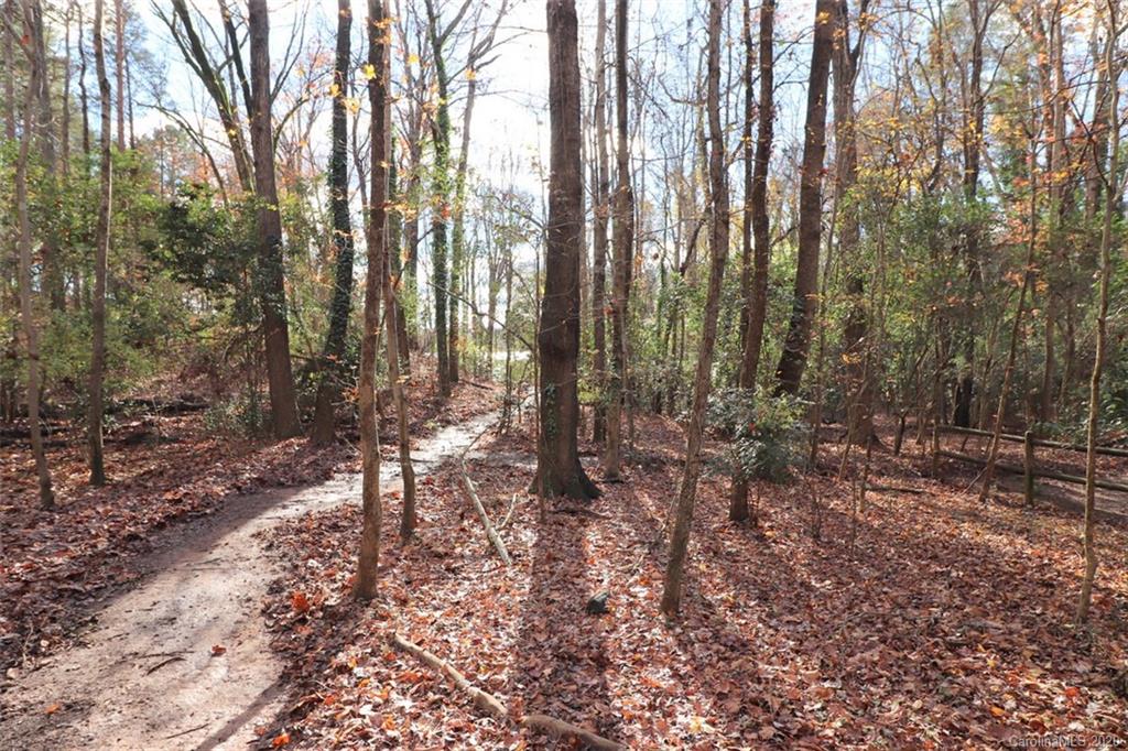 4035 Windward Drive Tega Cay, SC 29708 - Photo 12 of 44 Gallery Image 12