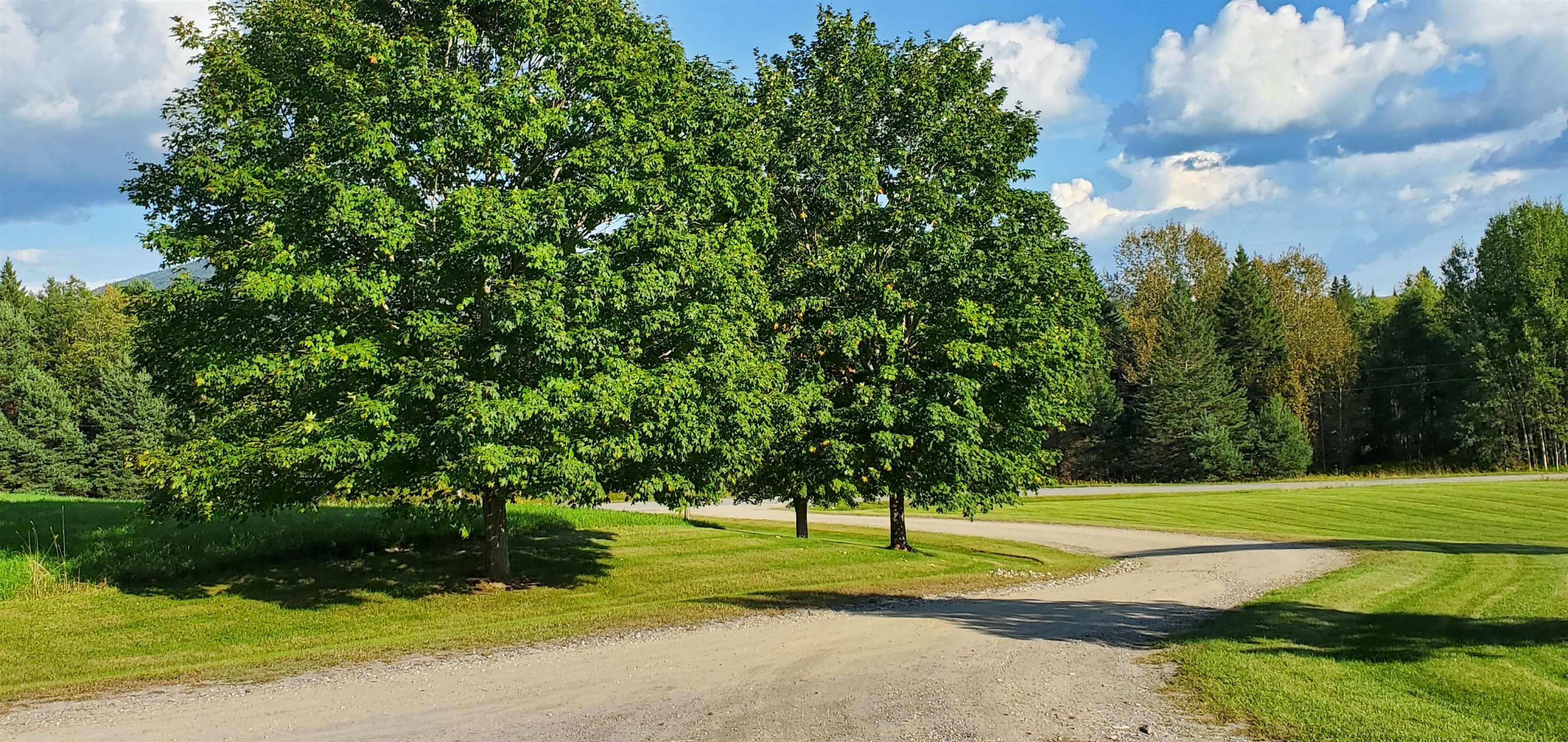 Lot 1 Darling Hill Road Lyndonville, VT 05851 - Photo 11 of 16 Gallery Image 11