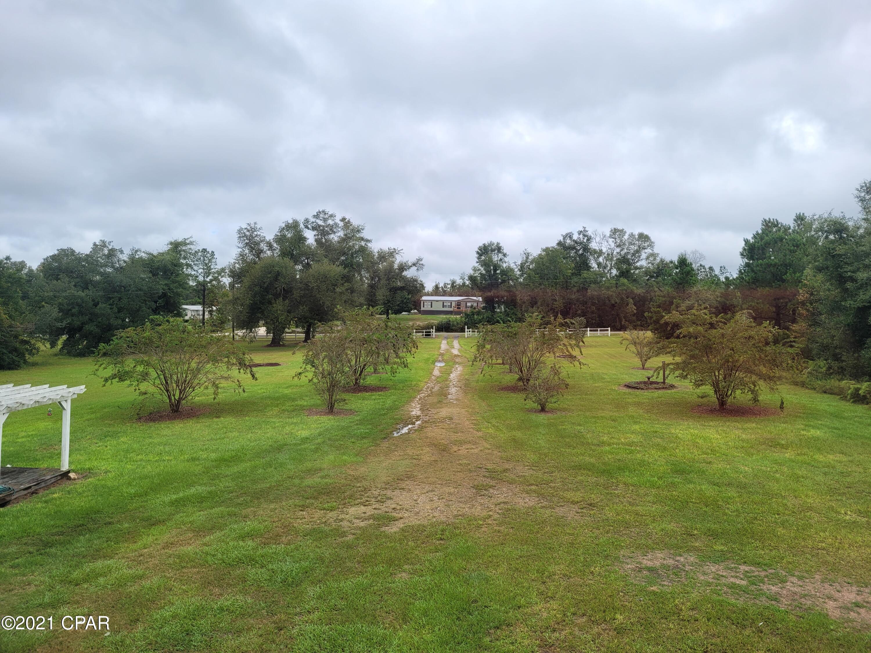 7929 Shady Grove Road Grand Ridge, FL 32442 - Photo 3 of 25 Gallery Image 3