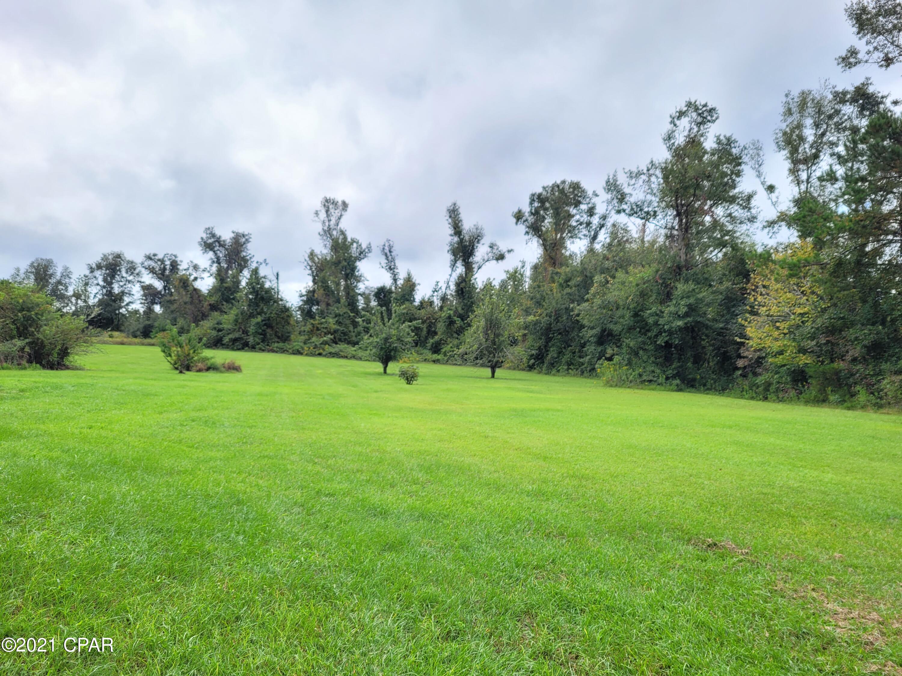 7929 Shady Grove Road Grand Ridge, FL 32442 - Photo 7 of 25 Gallery Image 7