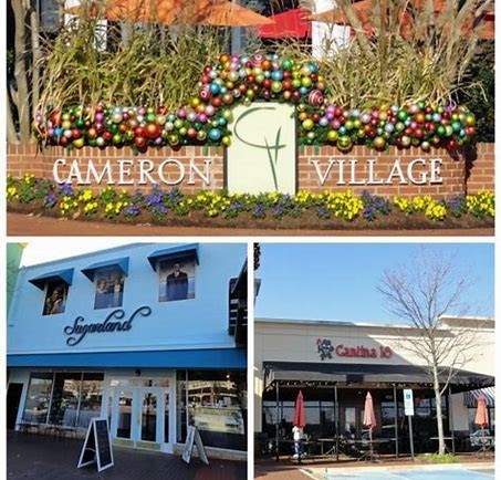 312 Dixie Trail Raleigh, NC 27607 - Photo 24 of 25 Shopping & Dining