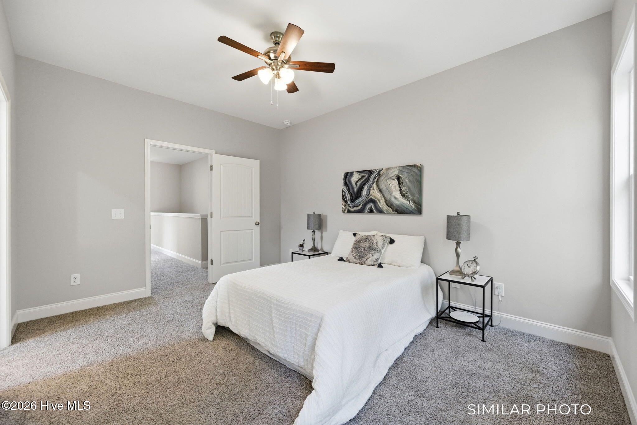 207 Holly Sands Loop Sneads Ferry, NC 28460 - Photo 23 of 45 Similar Photo - Primary Bedroom