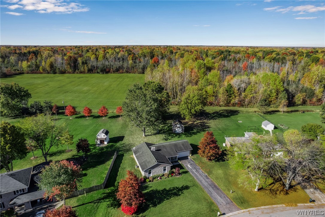 6912 Creekview Drive Pendleton, NY 14094 - Photo 24 of 30