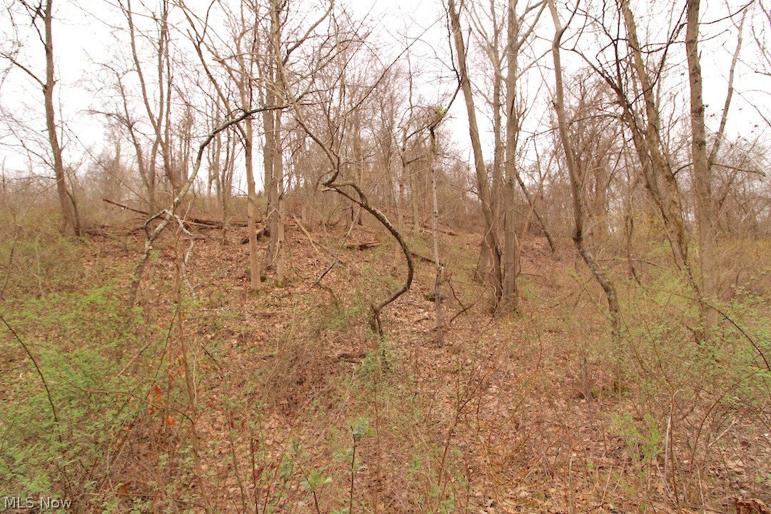 53483 Opossum Run Road Senecaville, OH 43780 - Photo 11 of 25 Gallery Image 11