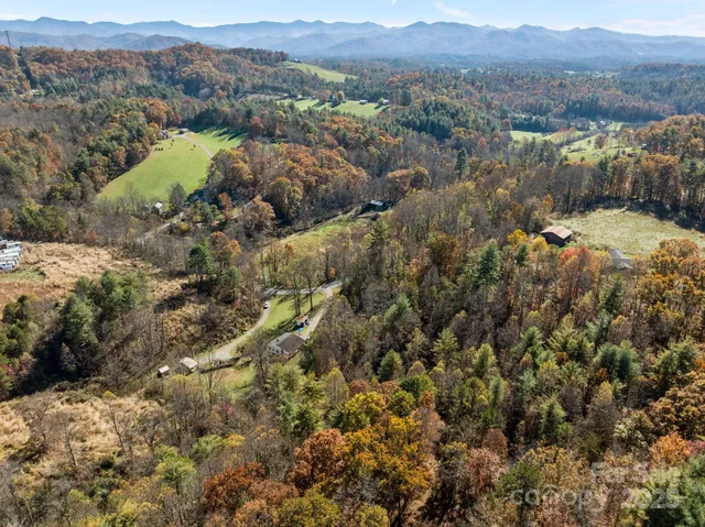 an aerial view of houses covered in trees