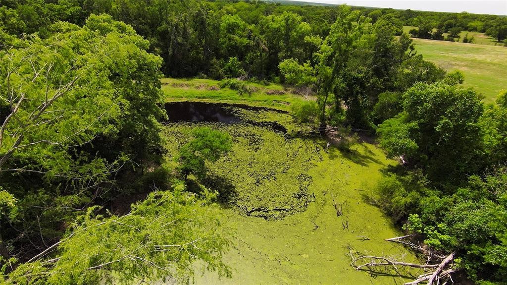 269 Balch Road Elgin, TX 78621 - Photo 29 of 39