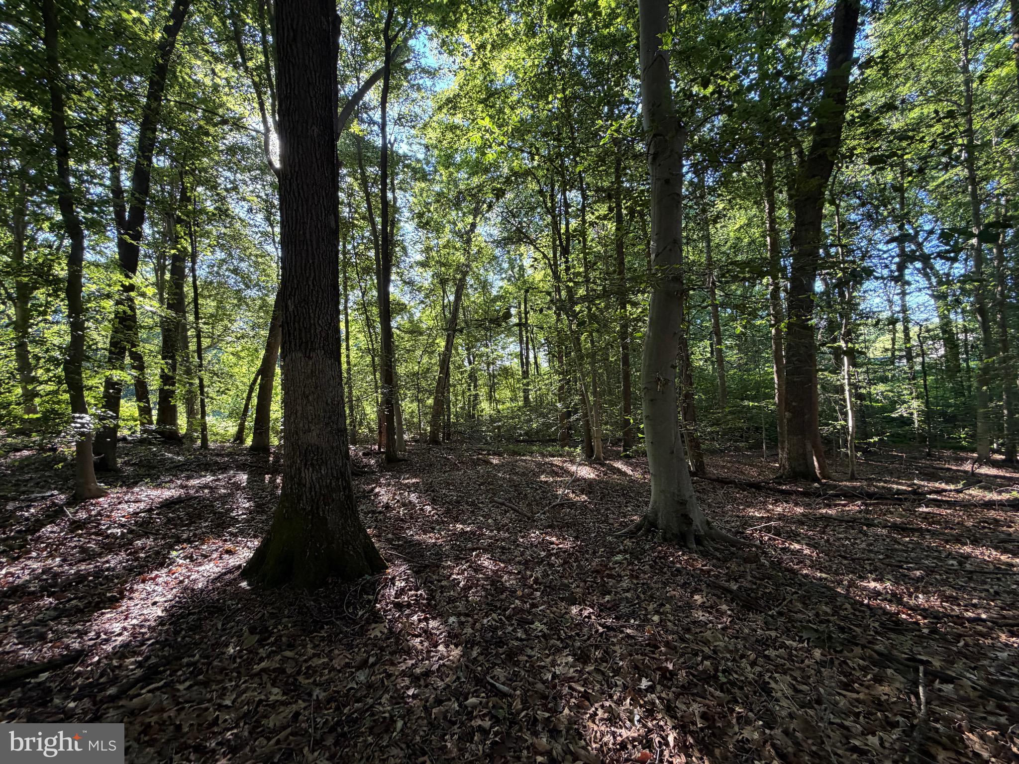 0 Rock Springs Road Conowingo, MD 21918 - Photo 48 of 79