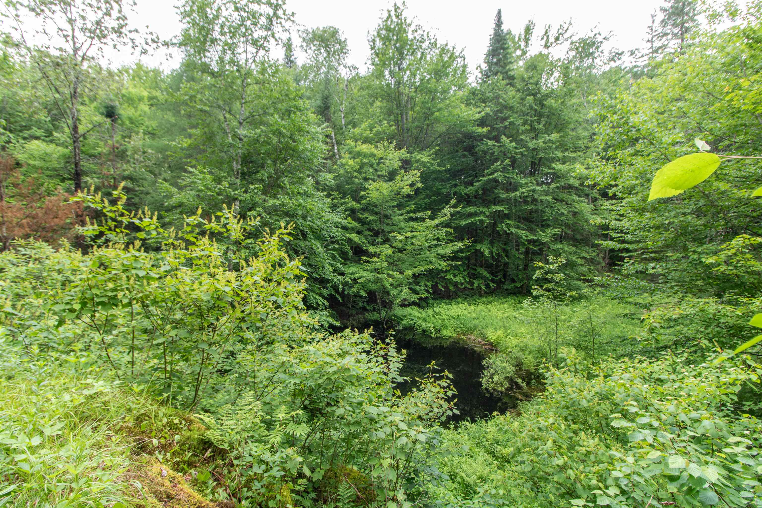 905 Gideons Mill Road Brighton, VT 05846 - Photo 23 of 32