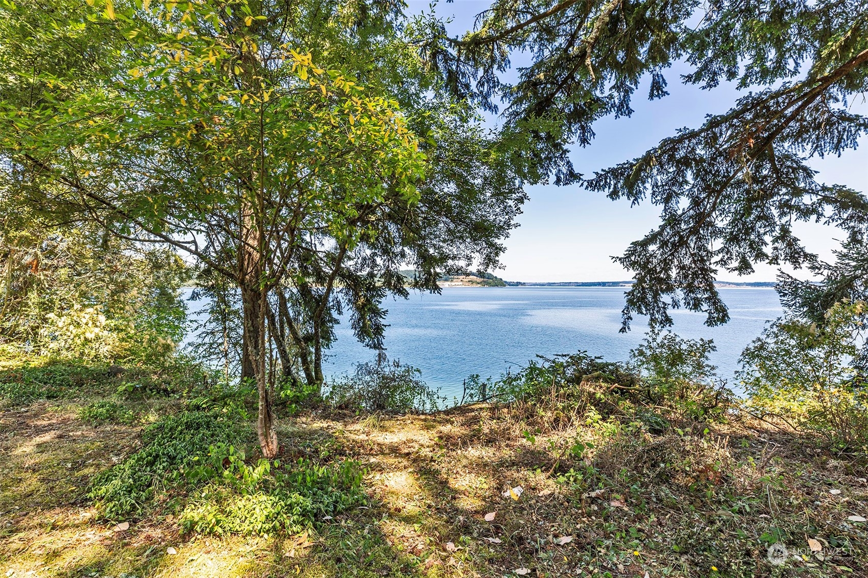 10709 Larson Road Anderson Island, WA 98303 - Photo 28 of 39 Gallery Image 28