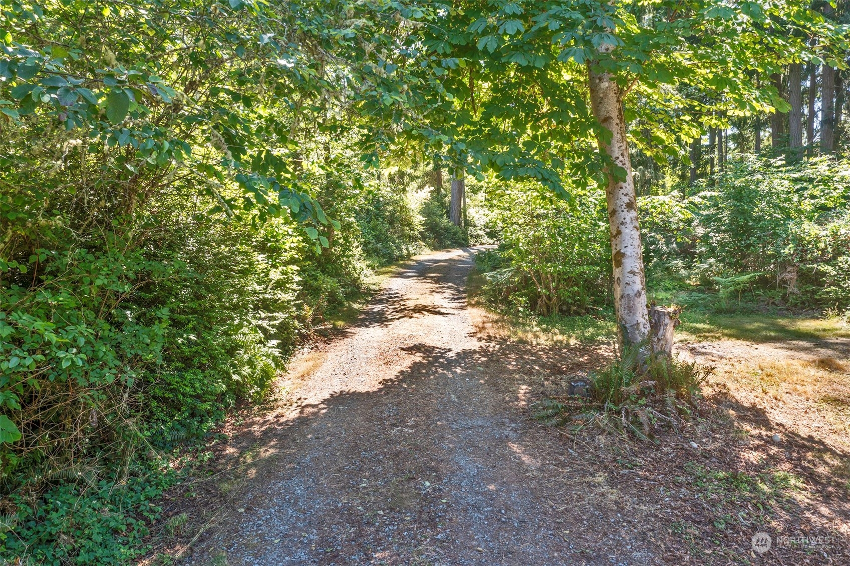 10709 Larson Road Anderson Island, WA 98303 - Photo 37 of 39 Gallery Image 37