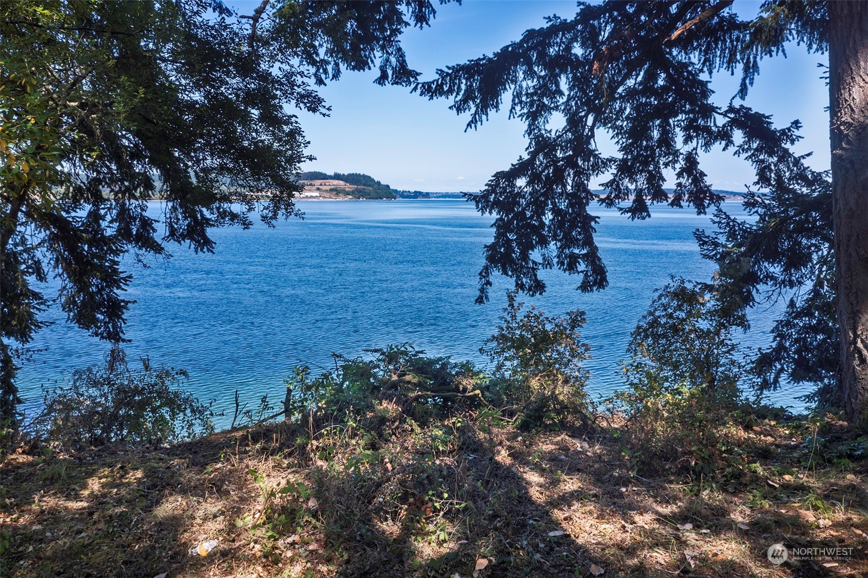 10709 Larson Road Anderson Island, WA 98303 - Photo 4 of 39 Gallery Image 4