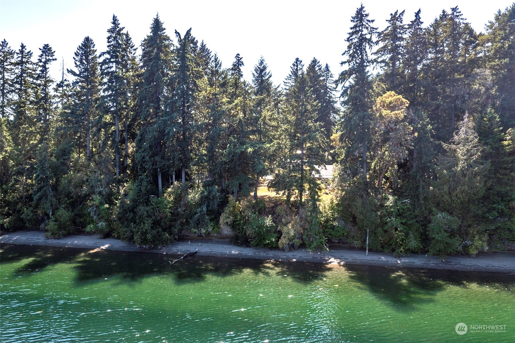 10709 Larson Road Anderson Island, WA 98303 - Photo 6 of 39 Gallery Image 6