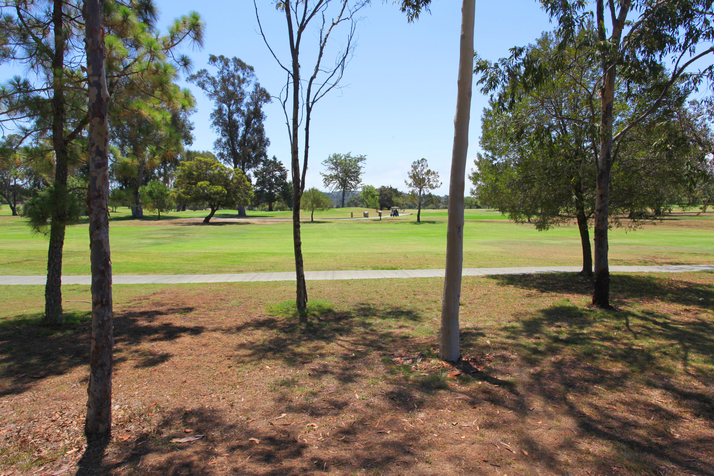 22 San Roque Road Santa Barbara, CA 93105 - Photo 25 of 25 IMG_5950
