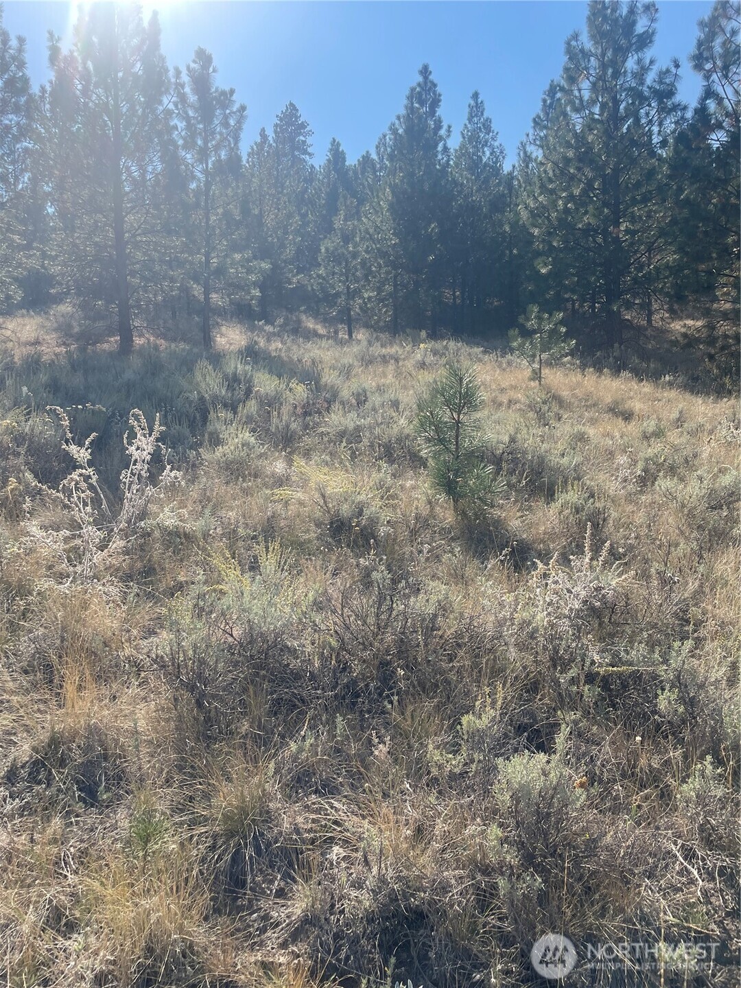 -tbd Reevas Basin Road Tonasket, WA 98855 - Photo 35 of 38