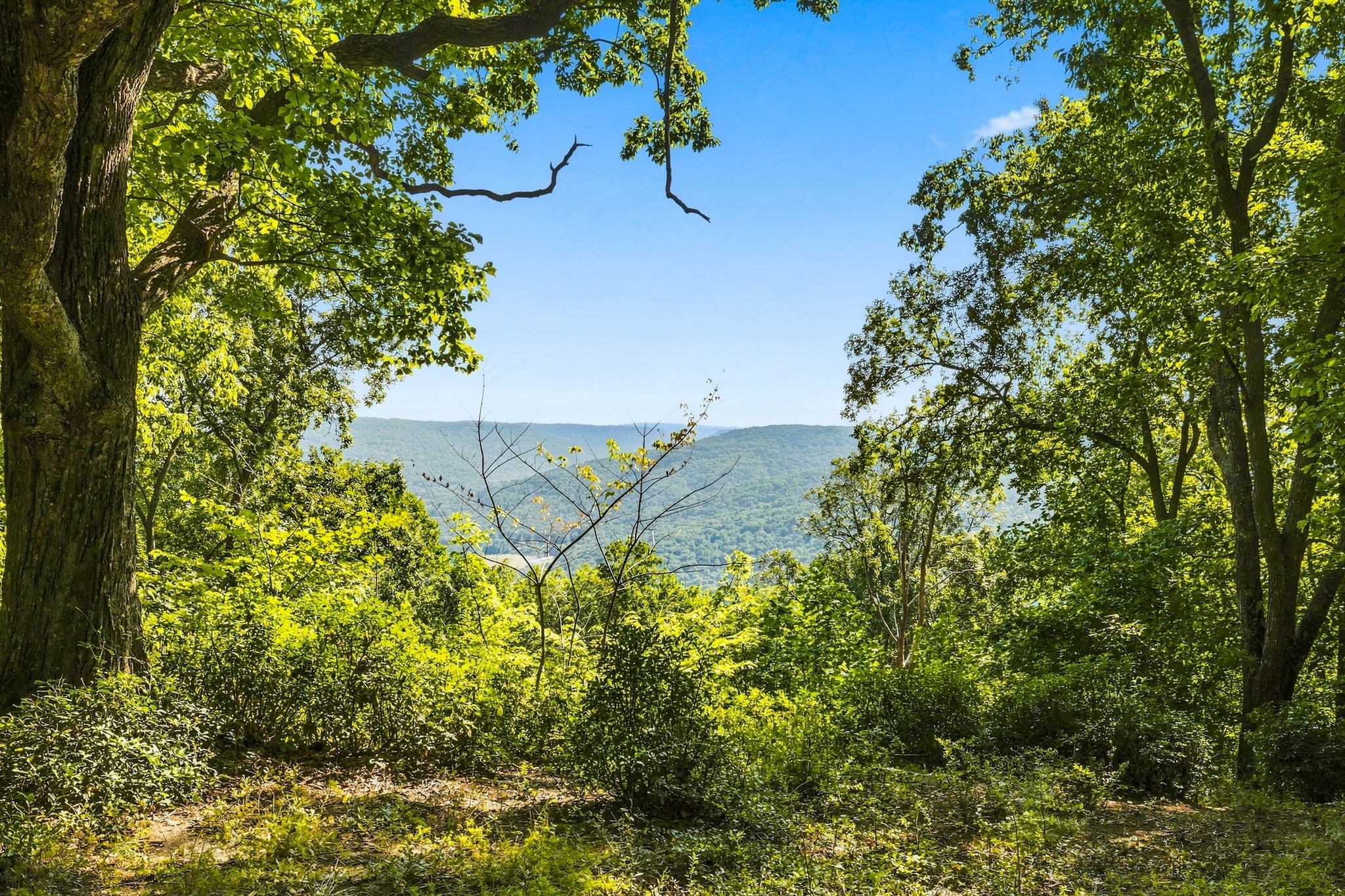 2186 Cooley's Rift Boulevard Monteagle, TN 37356 - Photo 36 of 36 Gallery Image 36