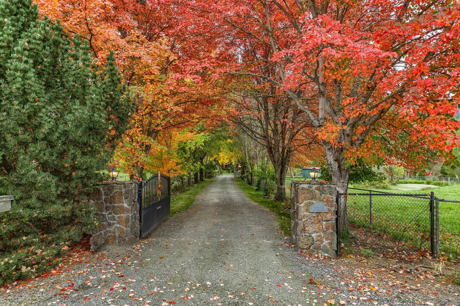 4020 Little Applegate Road Jacksonville, OR 97530 - Photo 81 of 83 81-Entrance