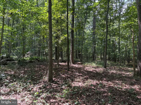 a view of outdoor space with lots of trees