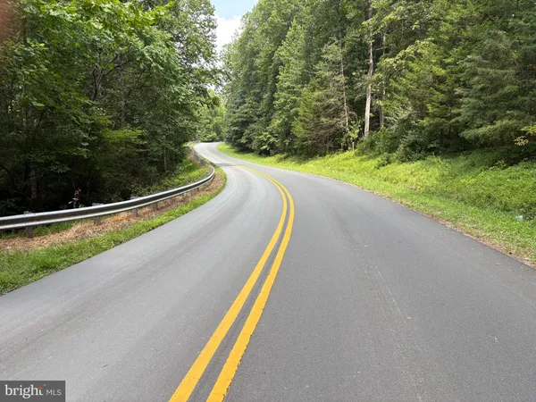 a view of a swimming pool with a garden and trees