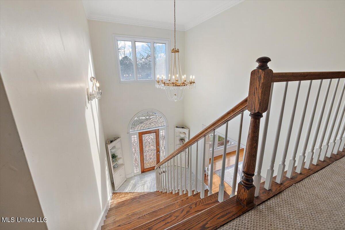 108 Windrush Drive Ridgeland, MS 39157 - Photo 17 of 42 45-3HTP6656