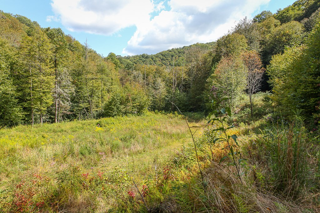9765 Little Snowbird Road Robbinsville, NC 28771 - Photo 17 of 34
